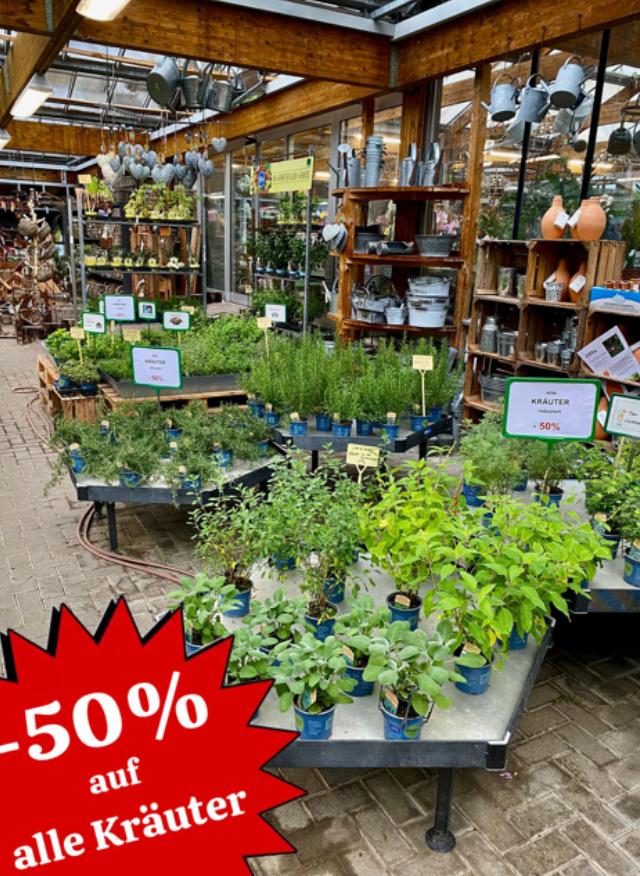 Alle Kräuter 50% reduziert!!!