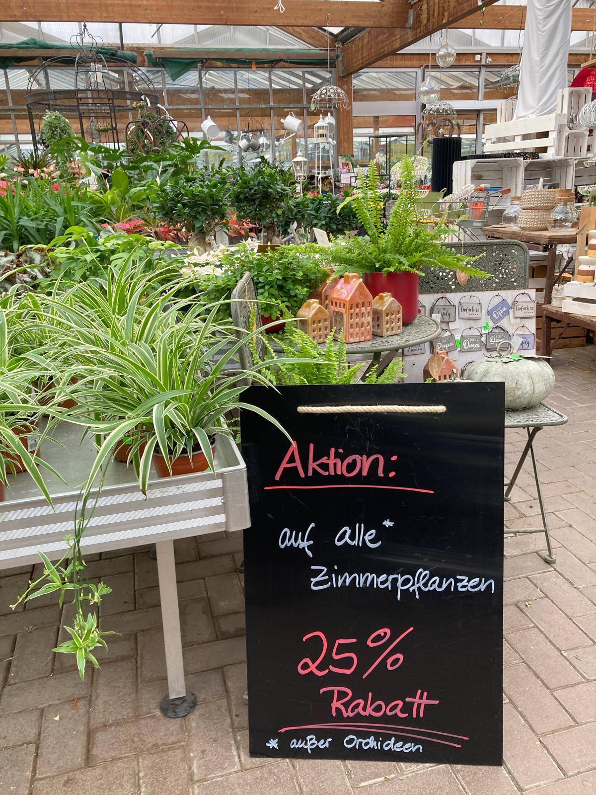 Aktion: - 25% auf Zimmerpflanzen