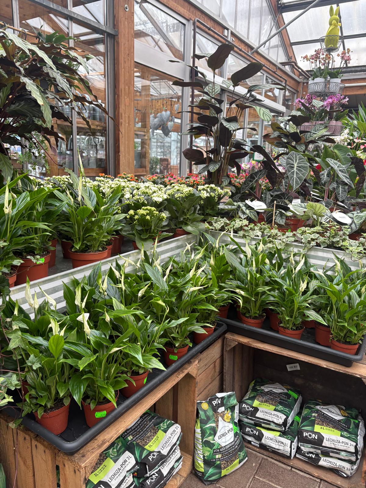 Frisch und Grün: Wir sind wieder da!!!