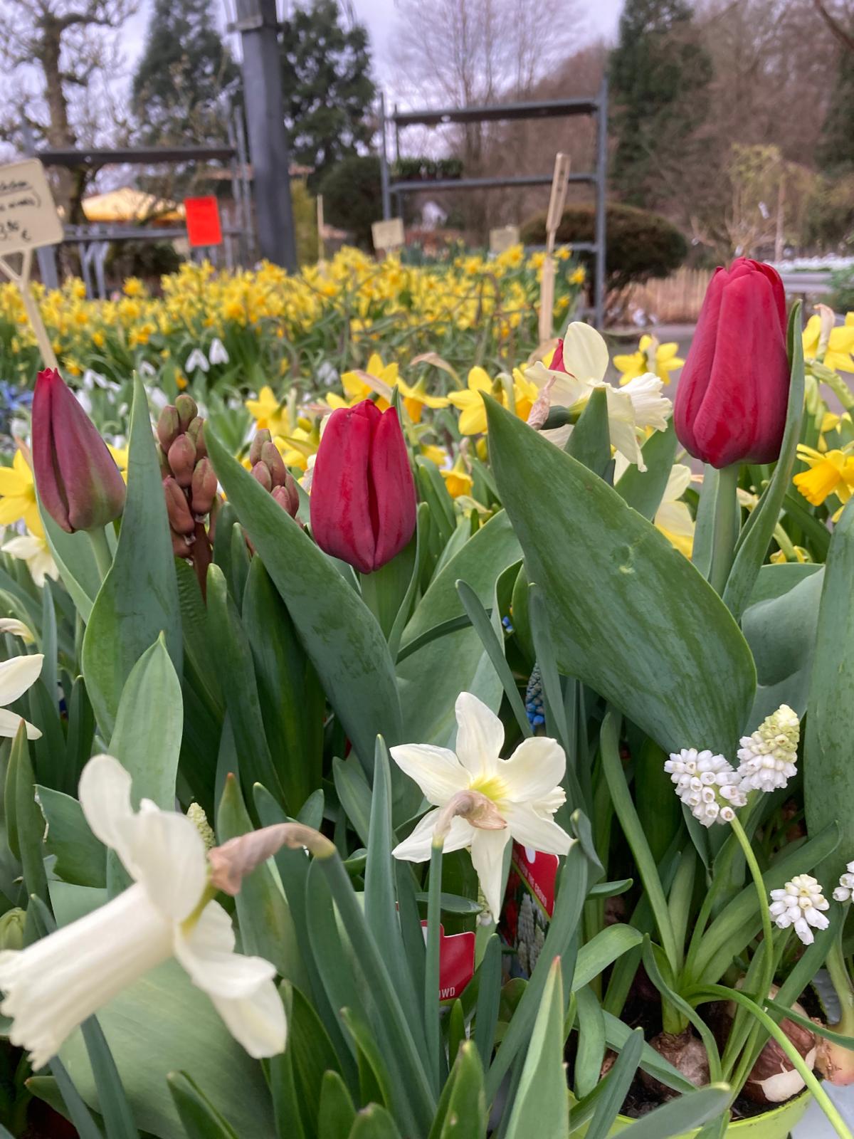 Oster-Rabatt-Endspurt!!!