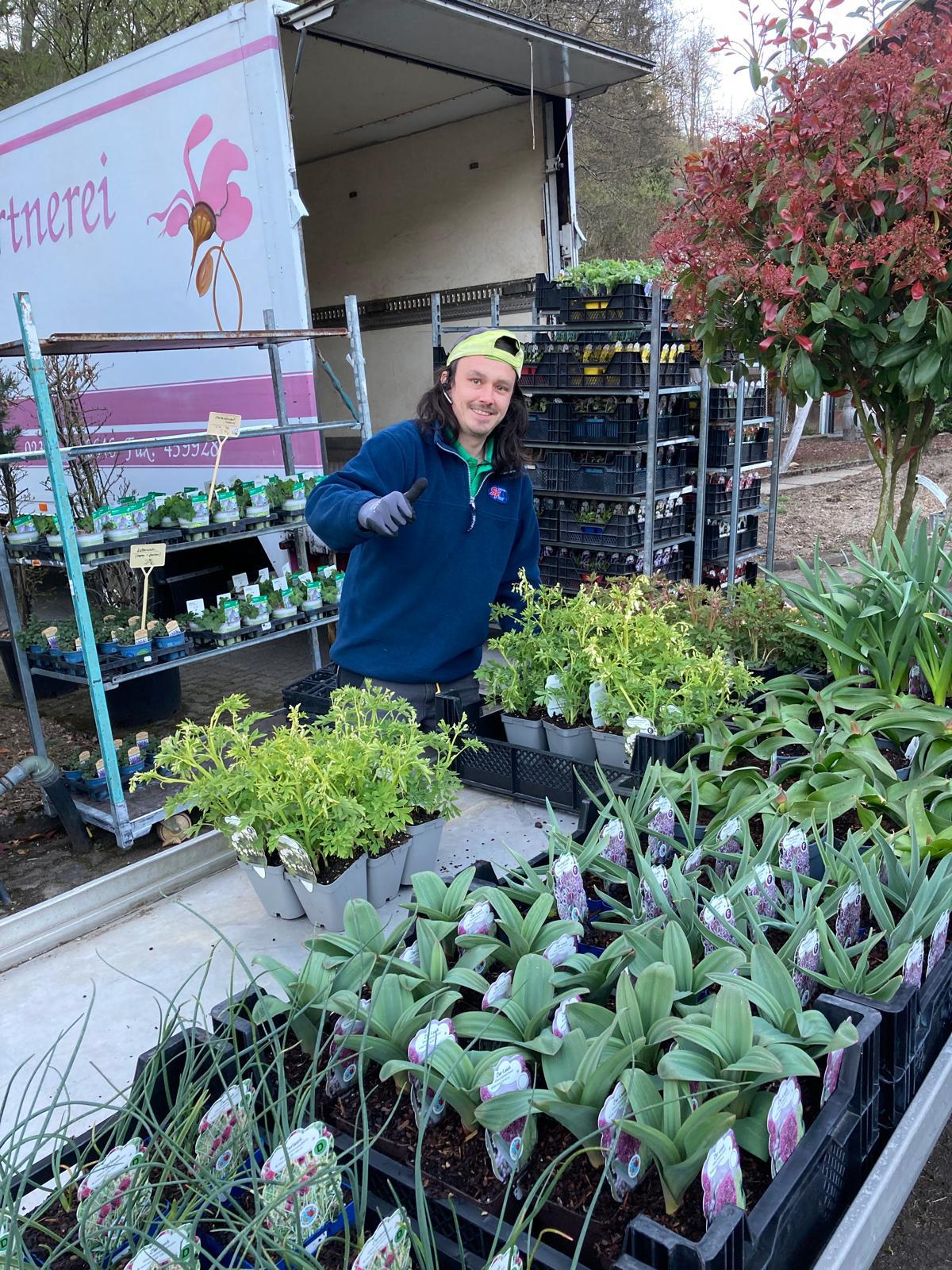 Stauden in riesiger Auswahl