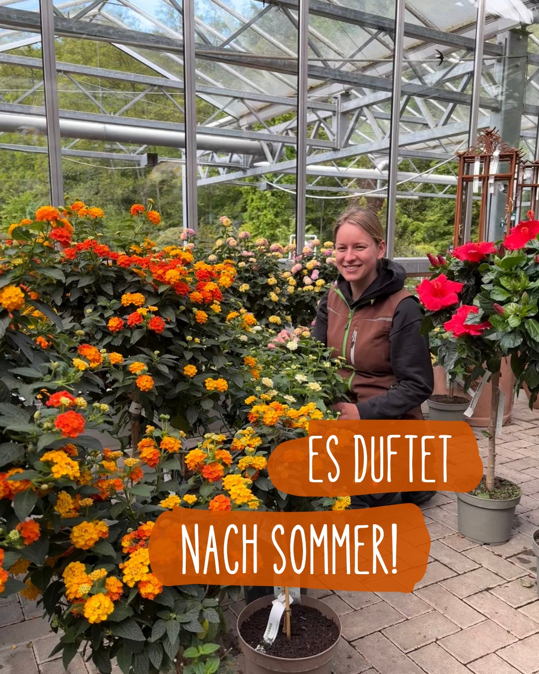 Für einen traumhaften Blumensommer