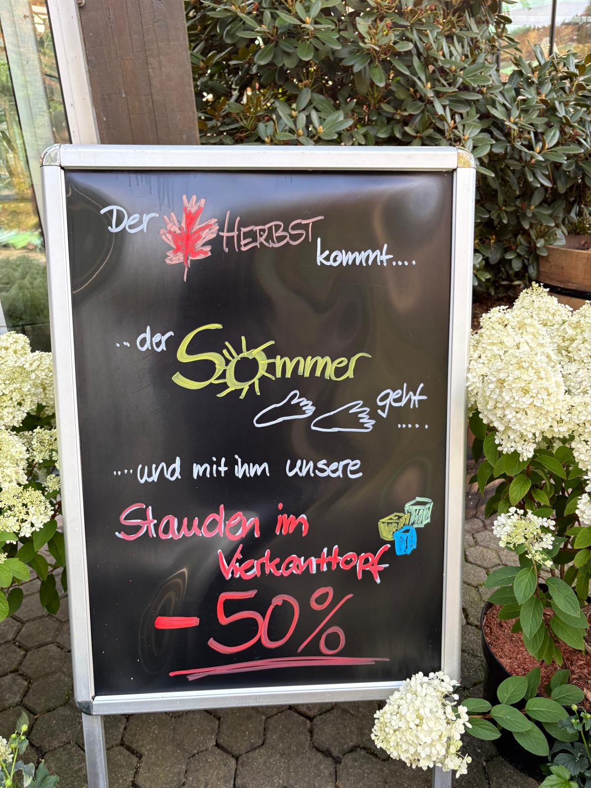 Jetzt 50 % sparen!!!