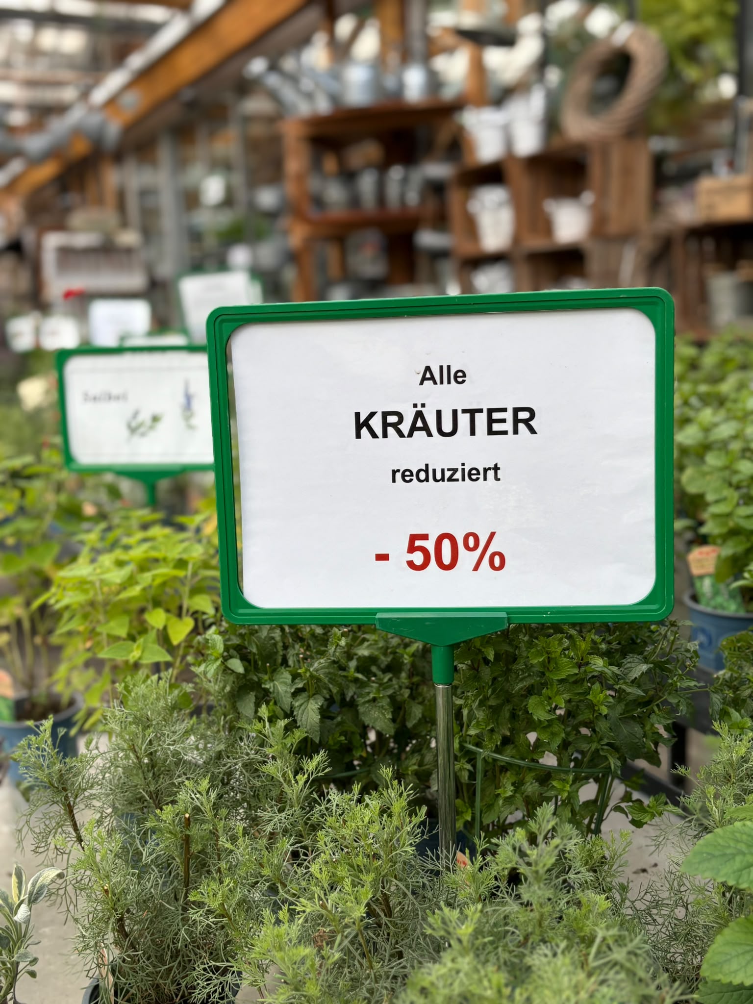 Kräuter-Deal!!! - 50%
