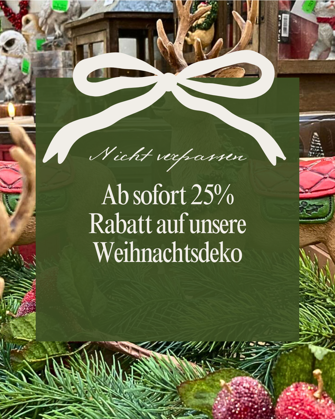 Weihnachtsrabattaktion: -25%