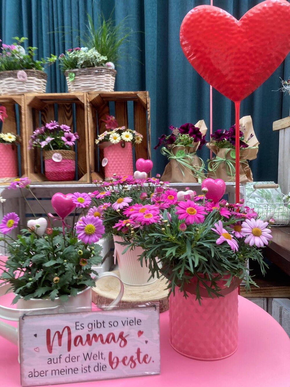 Danke Mama ... (Baumschule, Gummersbach, Werner, Bäume, Pflanzen, Garten) | Baumschule Werner — Gummersbach