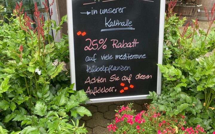 Rabattaktion Kübelpflanzen (Baumschule, Gummersbach, Werner, Bäume, Pflanzen, Garten) | Baumschule Werner — Gummersbach