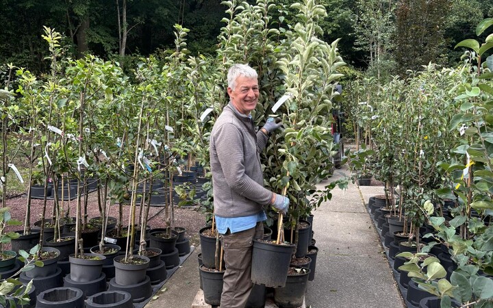 Obstbäume im Container eingetroffen (Baumschule, Gummersbach, Werner, Bäume, Pflanzen, Garten) | Baumschule Werner — Gummersbach