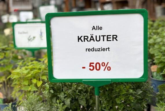 Kräuter-Deal!!! - 50%